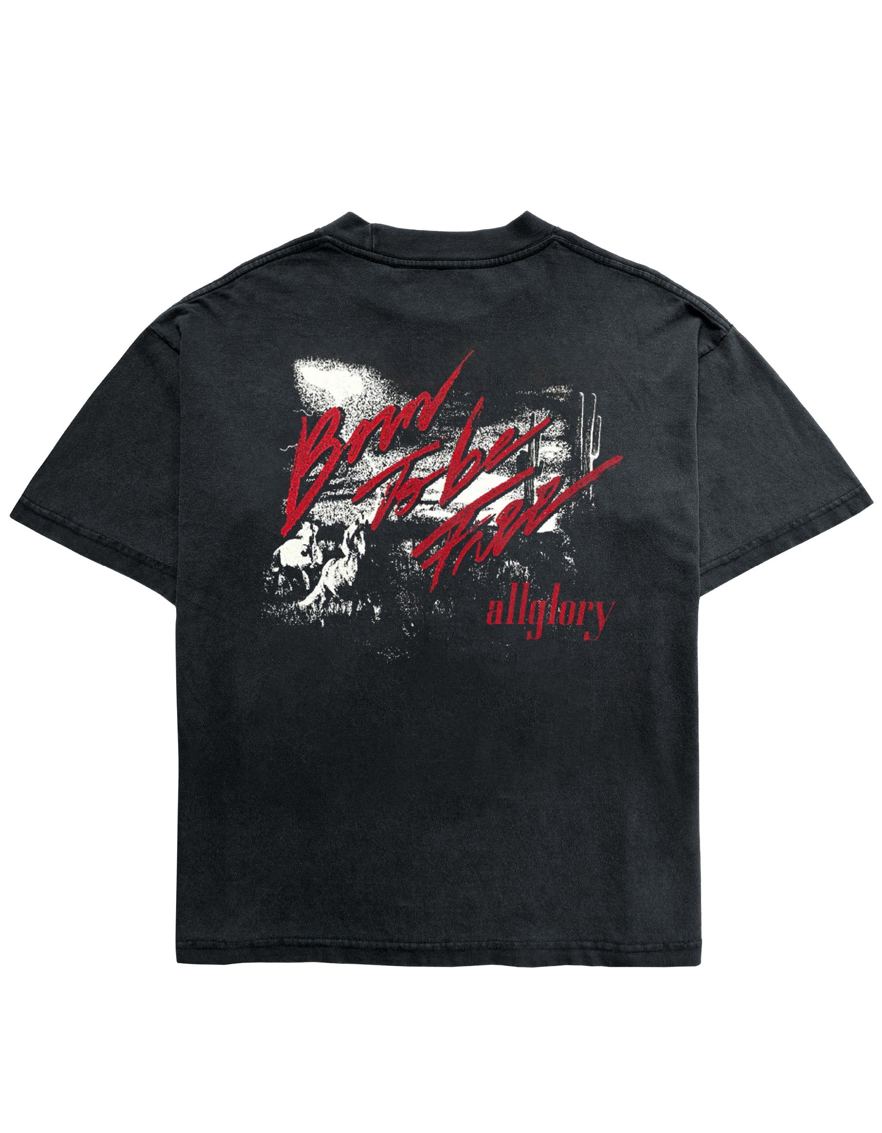 BORN TO BE FREE Camiseta ALLGLORY Vintage Relic Black COSTAS
